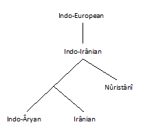 Indo-Iranian Evolution